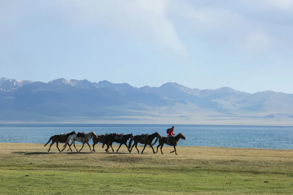 Kyrgyzstan mountain landscape